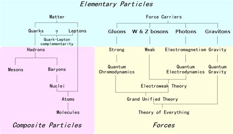 Image result for Tree Structure of Particle Physics