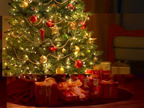 Image result for Christmas Tree Base PNG