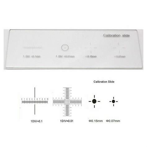 Image result for Microscope Slide with Scale