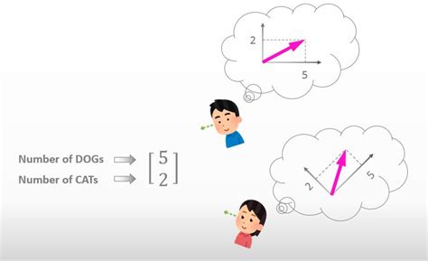 Tensor vs Matrix に対する画像結果
