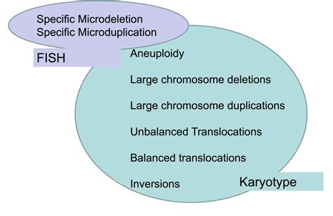 Afbeeldingsresultaten voor Karyotype vs Microarray