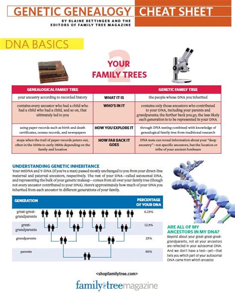Family Tree Cheat Sheets に対する画像結果