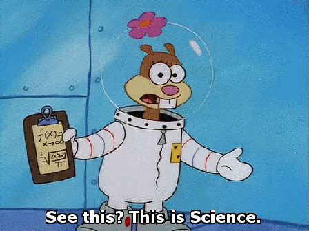 Image result for Spongebob Meme of Data Science