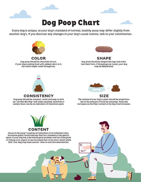 Dog Poop Color Chart に対する画像結果