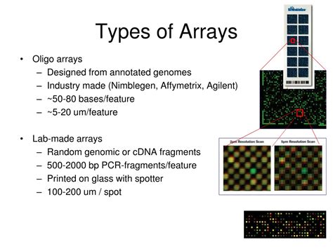 Toradh íomhá ar Microbial Transcriptomics