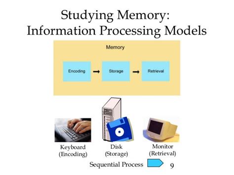 Image result for Different Types of Encoding Psychology