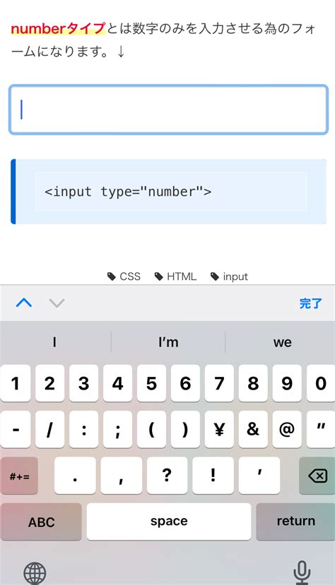 Input Tag in HTML に対する画像結果