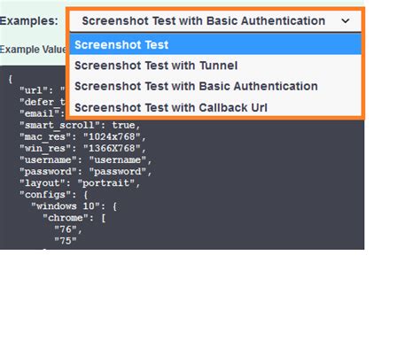 Image result for Selenium Interface Screenshot