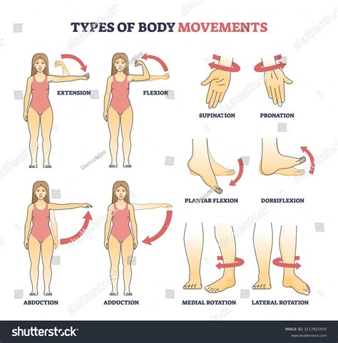 Image result for Flexion Example
