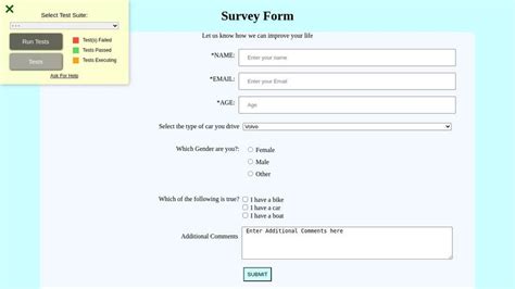 Toradh íomhá ar Survey Form HTML/CSS