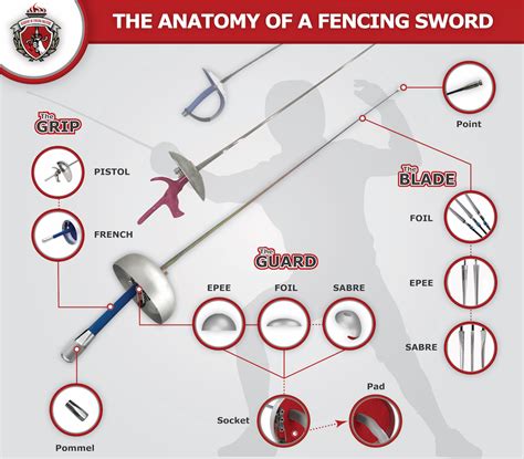Image result for Fencing Sword Types