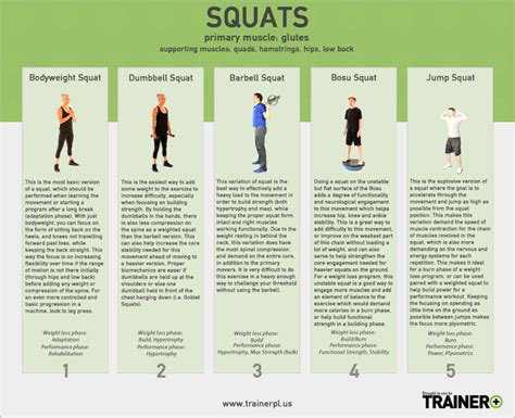 Image result for Squat Variation Chart