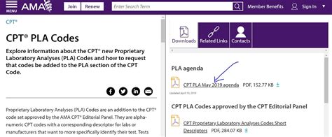 AMA PLA Coding に対する画像結果