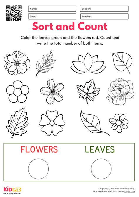 Image result for Sort and Counting Activity