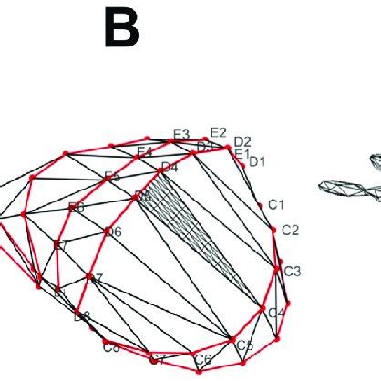 Afbeeldingsresultaten voor Triangularized Matrix