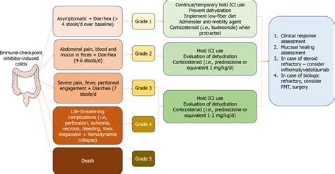 Image result for Colitis GraphPad Test