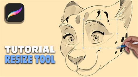 Image result for How to Resize Procreate