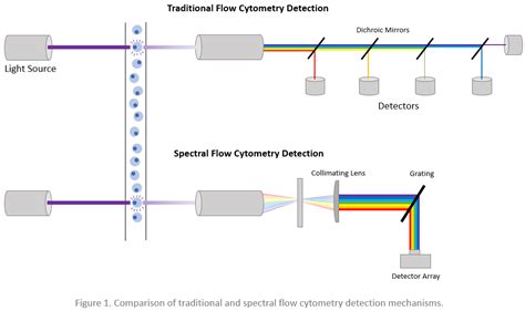GFP Spectral Signature Flow Cytometry に対する画像結果