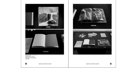 Toradh íomhá ar Visual Essay Project