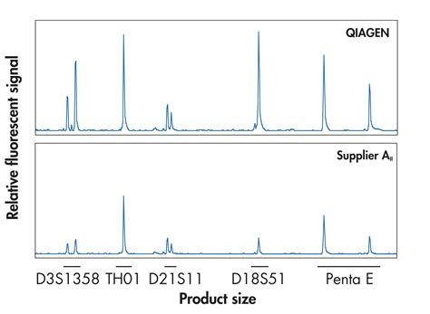 Multiplex PCR に対する画像結果