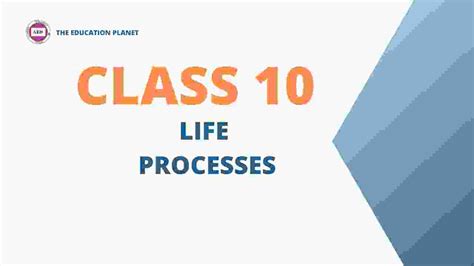 Class 10 Life Processes Diagram Based Question に対する画像結果