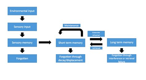 Image result for Multi More Store Model