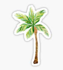 Image result for Palm Tree Stickers