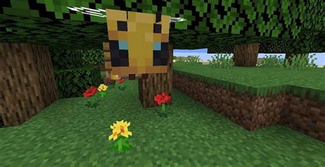 Image result for How to Get Honey Blocks in Minecraft