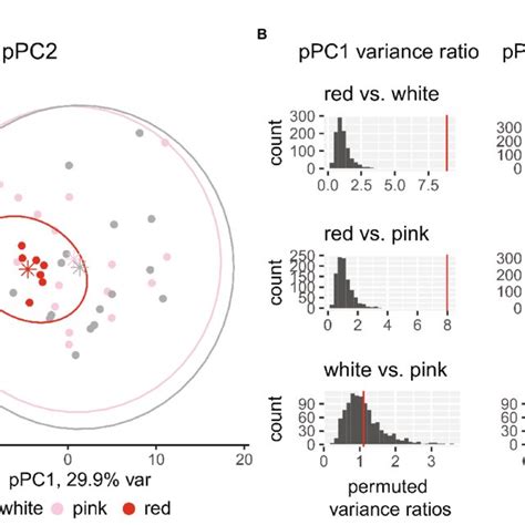 Afbeeldingsresultaten voor Morphological Variation Examples
