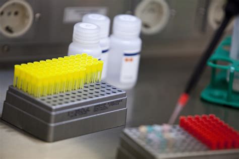 Image result for Non Clinical Lab Introduction