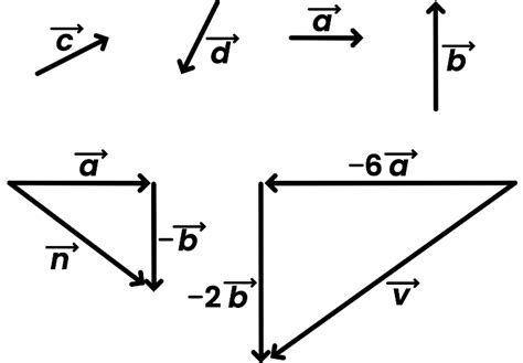 Image result for Basis Vector