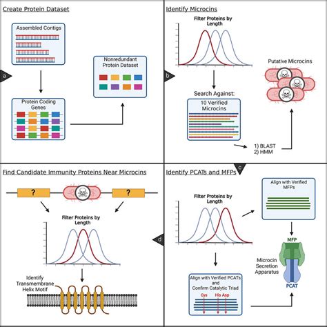 Image result for Bioinformatics Examples