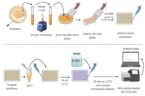Image result for MTT Assay Full Form