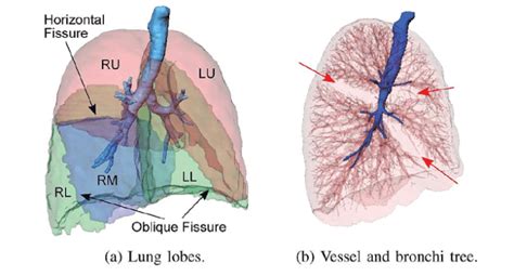 Image result for Figure Legend Example