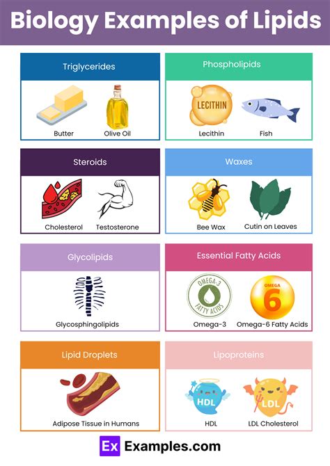 Image result for Structure and Function Biology Examples