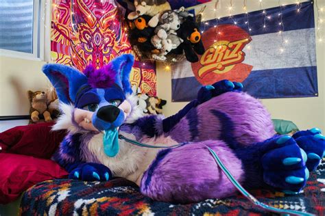 Toradh íomhá ar Morefurless Circle