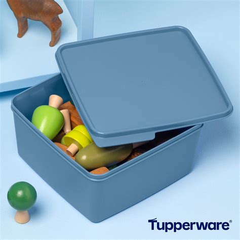 Toradh íomhá ar Tupperware Eu Marks