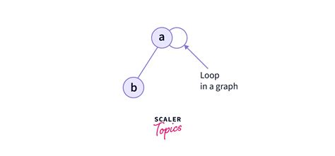Image result for Loop Simpul Di Graph