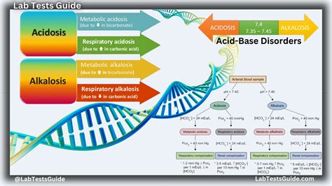 Image result for Acid-Base Disorders