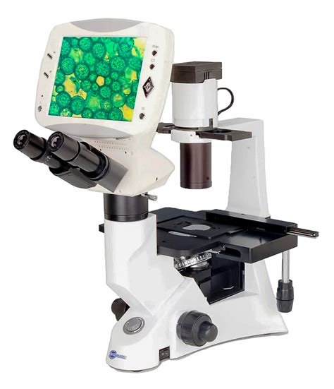 Résultat d’images pour Inverted Microscope Magnifications