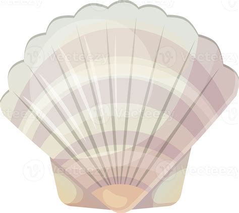 Image result for Shell Vector Transparent