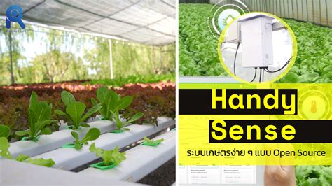 Toradh íomhá ar Open Source Research Workflow