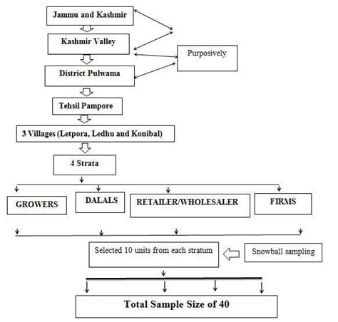 Image result for Flowchart of Sampling Process