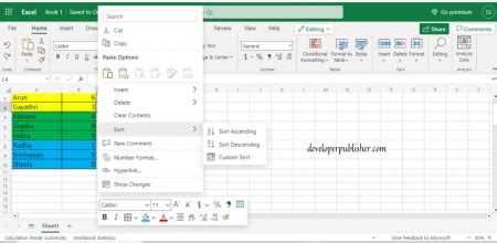 Image result for Sort Excel Sheet by Highlight Color