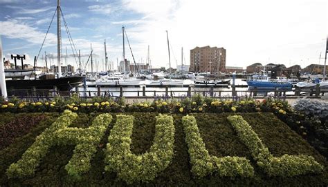 Hull Types に対する画像結果