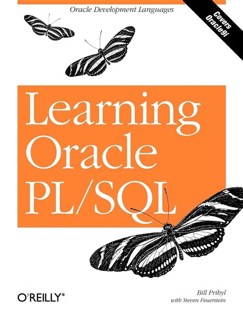 PL SQL Learning に対する画像結果