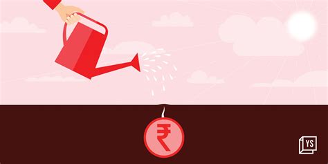 Image result for Pre Basic Seed