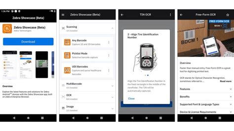 Image result for Zebra Program