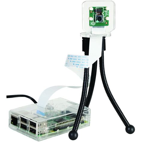 Image result for Examples On Raspberry Pi Camera 3 Noir