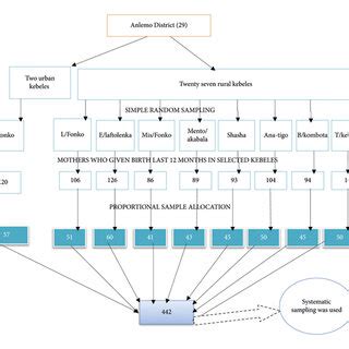 Image result for Eziprep Sampling Procedure